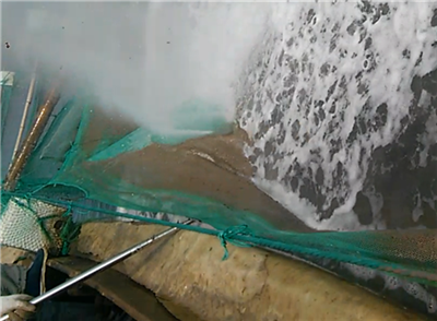 高壓清洗機,進口高壓清洗機,高壓清洗機價格,超高壓清洗機