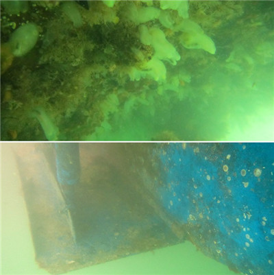 高壓清洗機,進口高壓清洗機,高壓清洗機價格,超高壓清洗機 高壓清洗機,進口高壓清洗機,高壓清洗機價格,超高壓清洗機