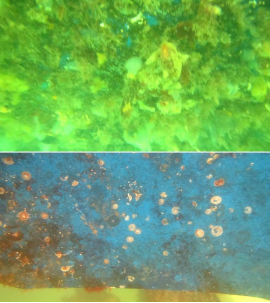 高壓清洗機,進(jìn)口高壓清洗機,高壓清洗機價格,超高壓清洗機