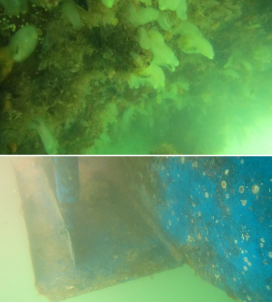 高壓清洗機(jī),進(jìn)口高壓清洗機(jī),高壓清洗機(jī)價格,超高壓清洗機(jī) 高壓清洗機(jī),進(jìn)口高壓清洗機(jī),高壓清洗機(jī)價格,超高壓清洗機(jī)