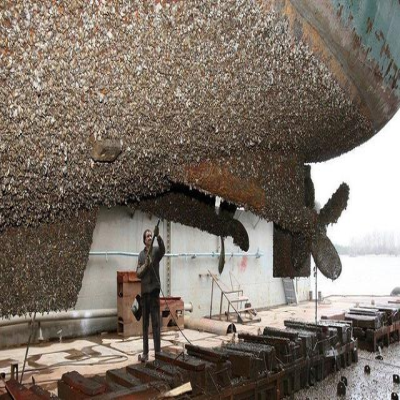 夏季海生物污染嚴重，如何快速清理